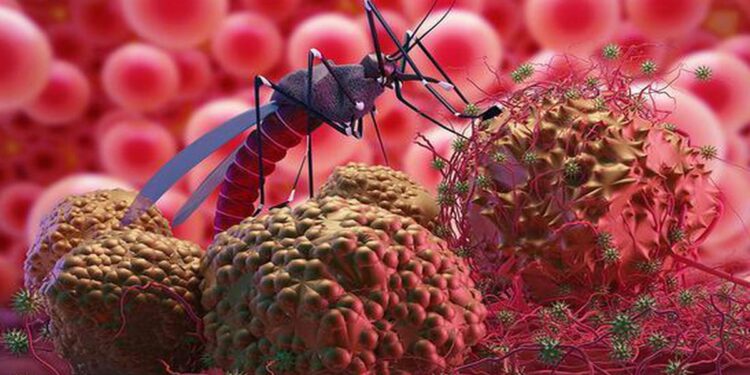 Rwanda Faces Rising Malaria Cases, Urges Action Against Mosquito Breeding