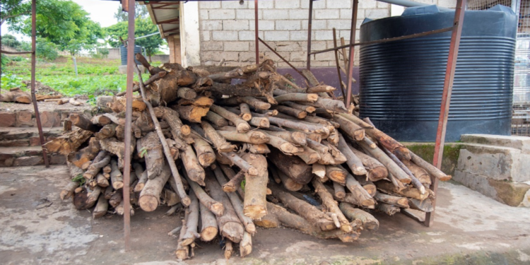 Rwanda to Phase Out Firewood and Charcoal in School Meals by 2032