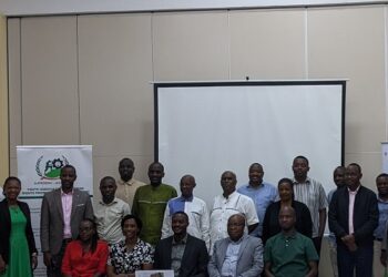 Researchers: Expanding Internships, Apprenticeships Key to Boosting Rwanda’s Economy