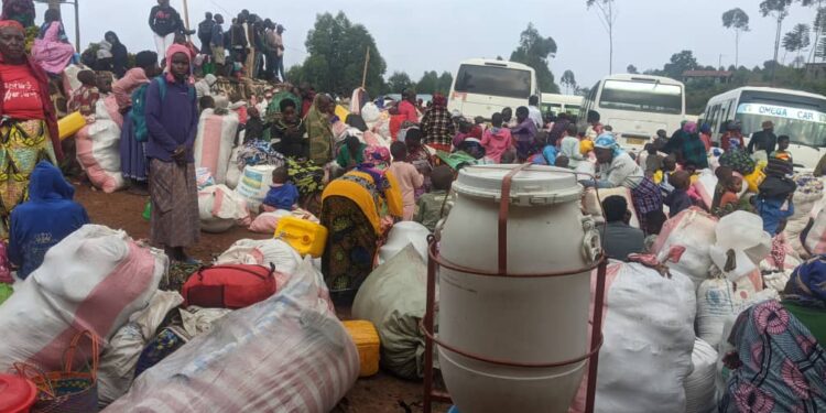Over 1,200 Rwandans Return Home After Rescue from Congo