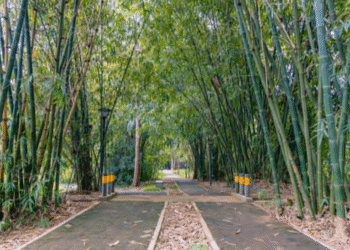 Parike ya Nyandungu yahawe igihembo ku rwego rw’ Isi