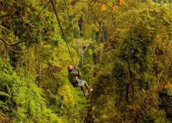 Nyungwe National Park Unveils Africa’s Longest Zipline, Rope Course, and Eco Lodge
