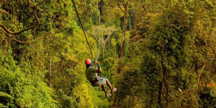 Nyungwe National Park Unveils Africa’s Longest Zipline, Rope Course, and Eco Lodge