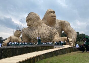 Hagiye kuba umuhango wo Kwita izina ku ncuro ya 20