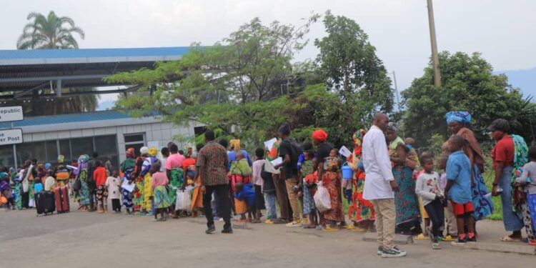 We Chose Peace: Rwandans Return After Decades in Congo