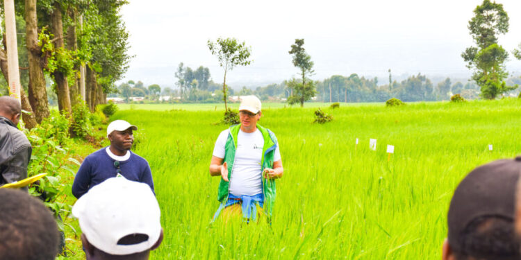 BRALIRWA’s Local Sourcing Strategy Spurs Agriculture, Jobs and Rural Growth