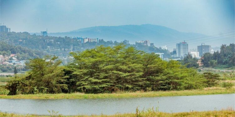 Ibyihariye ku bishanga byo muri Kigali bigeze kuri 67% bitunganywa