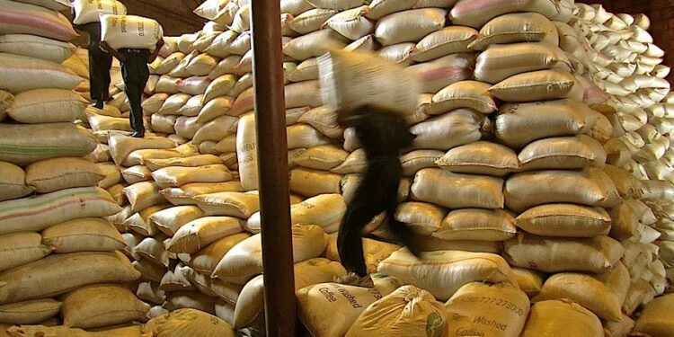 Rwanda’s Trade Deficit Shrinks as Exports and Imports Decline