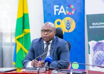 Rwanda Launches Five-Year Plan to Boost Agricultural Productivity