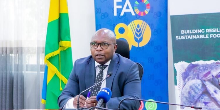 Rwanda Launches Five-Year Plan to Boost Agricultural Productivity