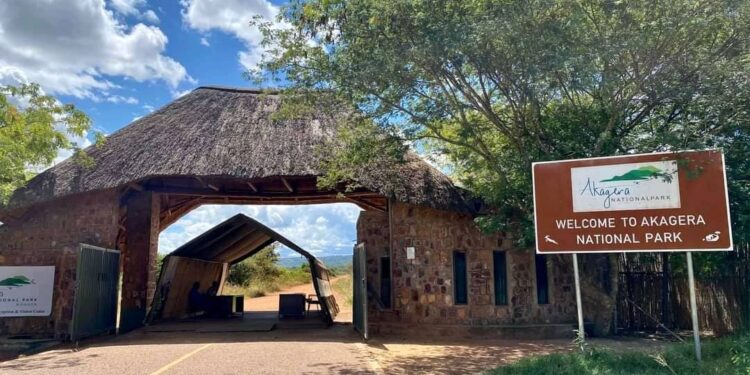 Abaturiye Pariki y’Akagera bagiye gusaranganywa miliyari 1.2 FRW y’urwunguko