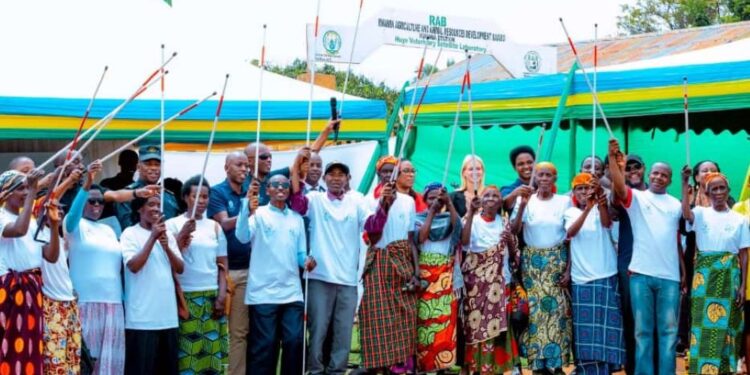 Abafite ubumuga bwo kutabona basaba ko inkoni zera ziboneka byoroshye mu Rwanda