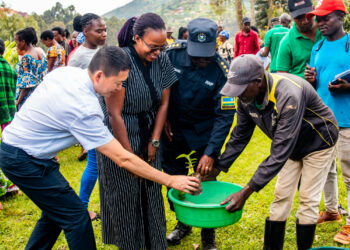 China Backs Gakenke Coffee Farmers in Bid to Boost Production