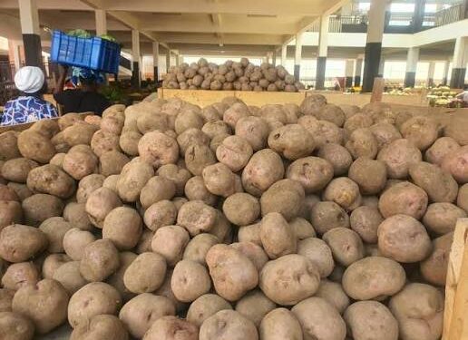 Umusaruro w’ibirayi wazamutseho 3.3% mu Gihembwe A cya 2026